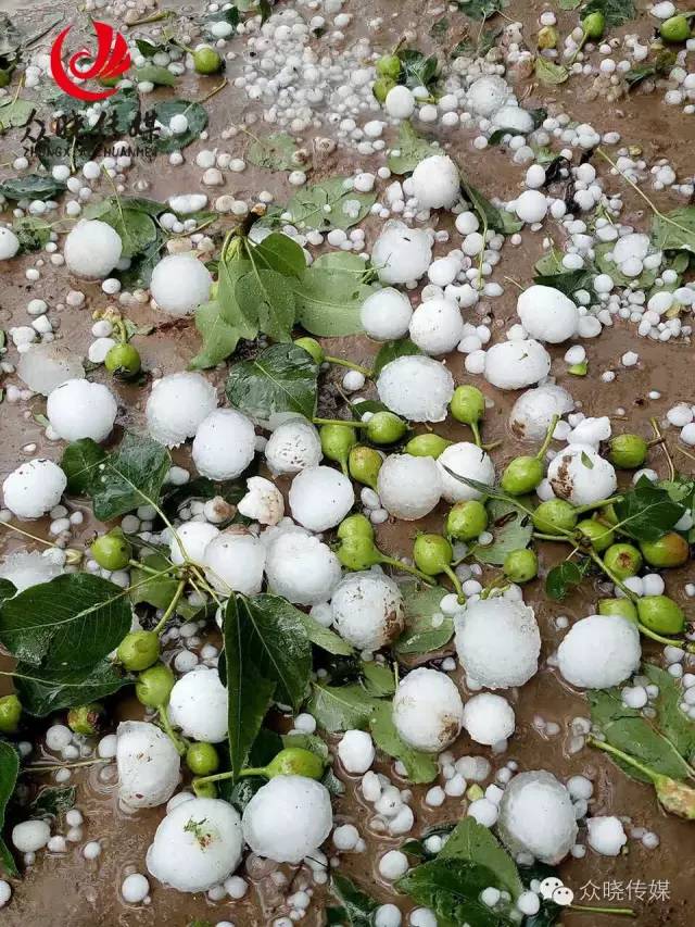 苹果产区冰雹新闻苹果产区冰雹最新消息-第2张图片-太平洋在线下载