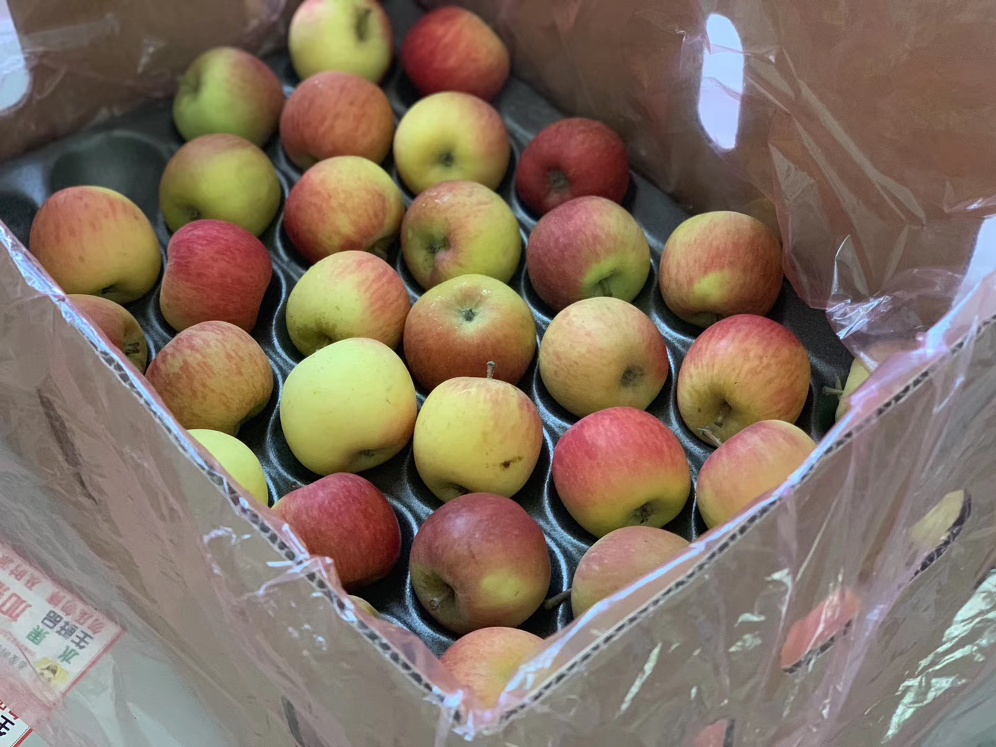 小版苹果(小版苹果手机)-第5张图片-QuickQ官网