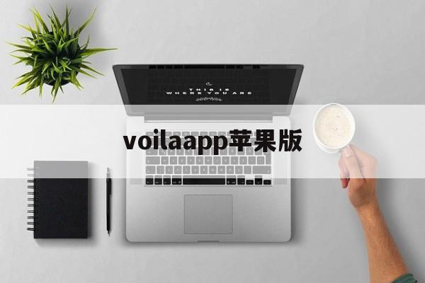 voilaapp苹果版(中文版voila下载安装)-第1张图片-QuickQ官网