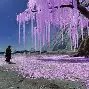 动物之森手机版ps(动物之森手机版中文版下载)-第4张图片-QuickQ官网